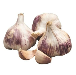 Cesnak Germidour 4ks nepaliiak