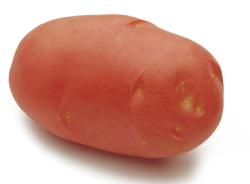 Zemiak.25kg Desire C1