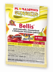 Bellis 2,6g Floraservis