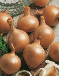 Cibula 0,5kg Vetana 8-16 Simon