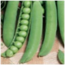 Hrach 200g Grandera stredne skor Simon