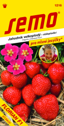 Jahody Florian F1 velkoplod Semo