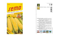 Kukurica Luminox F1 superslad.Semo