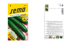 Uhorka Saladin  F1 sklen�k.hadovka Semo