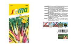 Mangold Mixture colour zmes farieb Semo