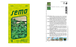 Bazalka Thulsi/Sv�t� Semo