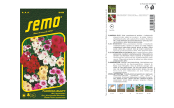 Flox Beauty zmes Semo