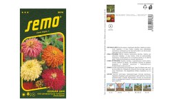 Zinia kaktusokvet� zmes Semo