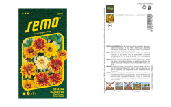 Z�nia ponponkovet� zmes Semo