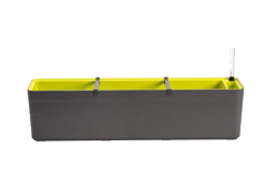 Hrant�k 80cm Berberis antracit-zelen�