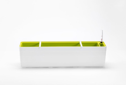 Hrant�k 80cm Berberis biely-zelen�