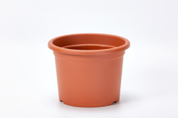 KU 17cm terakota Narcis Plastia