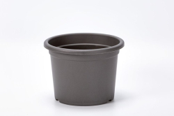 KU 23cm antracid Narcis Plastia