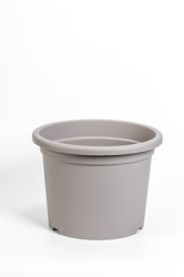 KU 30cm moka Narcis Plastia