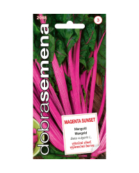 Mangold Magenta Sunset DS