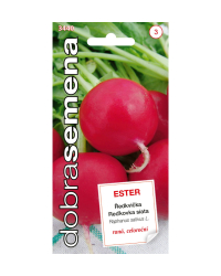 Redkovka Ester celoro�n� DS