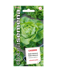 �al�t Cassini DS