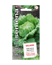 �al�t Saladin F1 DS