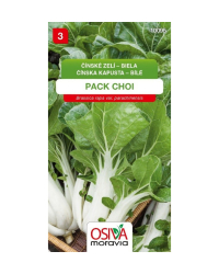Kapusta ��nska biela Pak Choi SMor