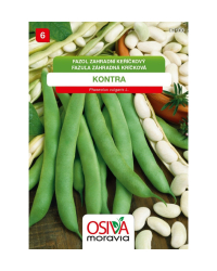 Fazula Kontra kr��kov� velkozrn. SMor