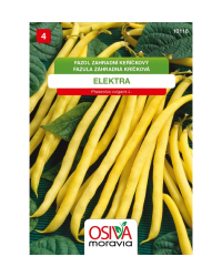 Fazula Elektra kr��.zlta  SMor