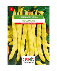 Fazula Goldmarie 15g kol�k.�lt� SMor