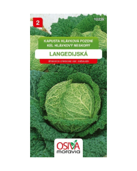 Kel Vertus neskor� SMor