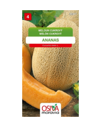 Melon Ananas cukrov� SMor