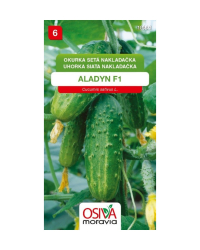 Uhorka ALADYN  F1 SMor hruboostn�