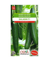 Uhorka Saladin  F1 sklen�k.hadovka SMor