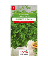 Petr�len v�a�ov� Gigante d�Italia SMor