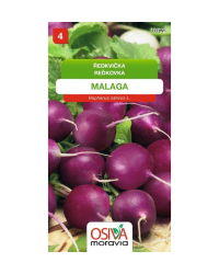 Redkovka Malaga celoro�n� fialov� SMor