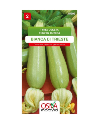 Cuketa BiancaDiTrieste svetlozelen� SMor