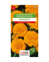 Aksamietnica n�zka oran�.30cm SMor