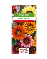 Gazania zmes SMor