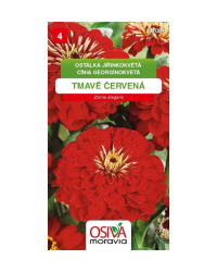 Z�nia p�vabn� tmavo-�erven� SMor