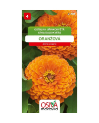 Z�nia p�vabn� oeran�ov� SMor