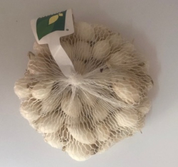 Cibula 250g White Globe 8-21 biela Simon