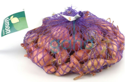 Cibula 0,25kg erven Sonkahagyma Rosann