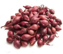 Cibula 250g Red Baron erven 8-21mmSimo